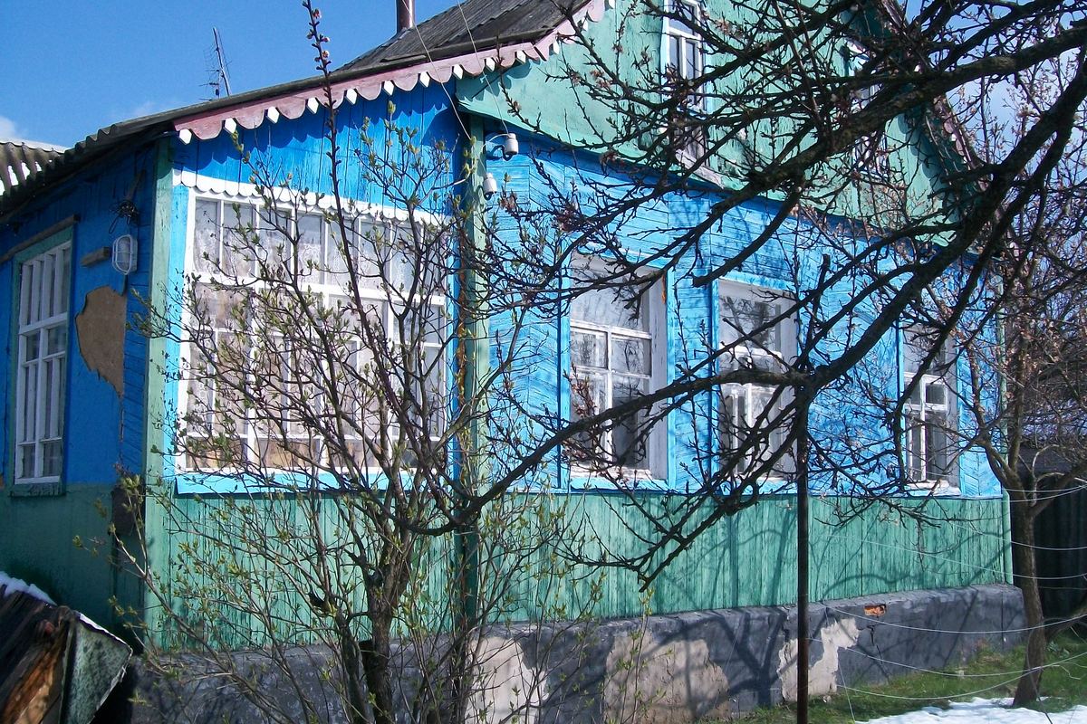 Продаж будинків Борова